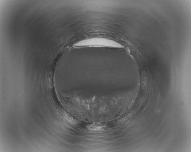 X0000075820661200609291412