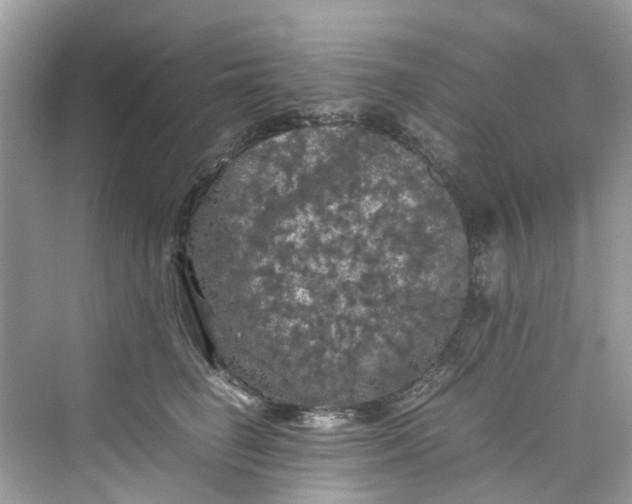 X0000075820662200609291412