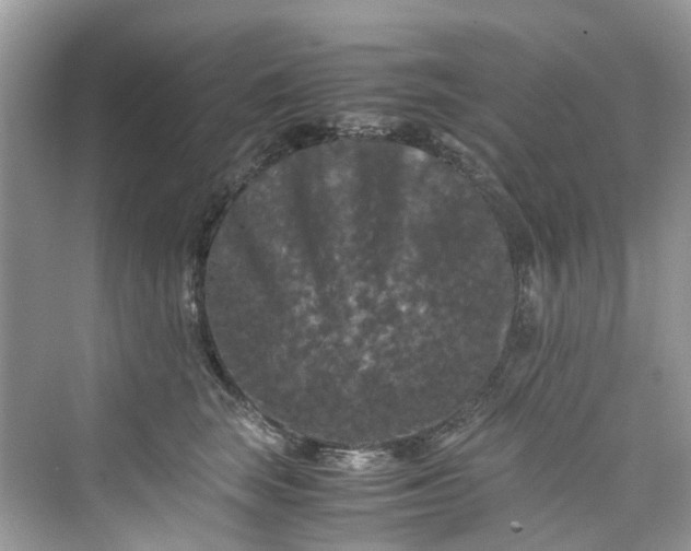 X0000075820663200609291412