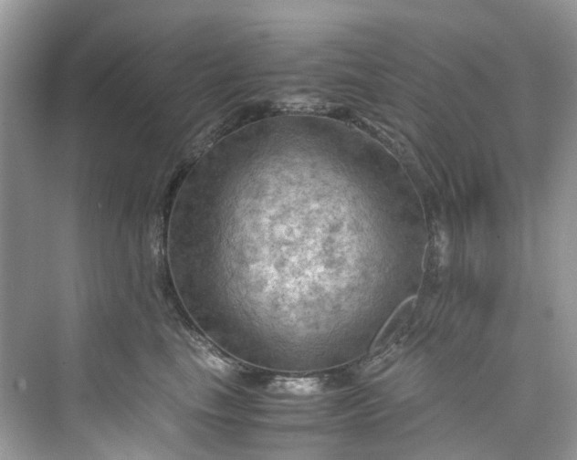 X0000075820665200609291412