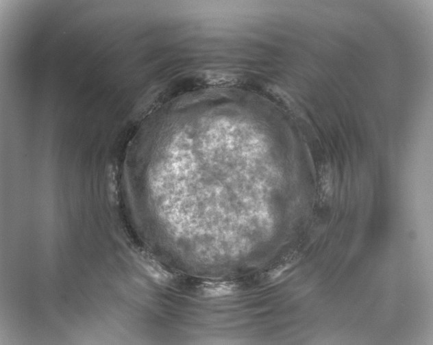 X0000075820667200609291412