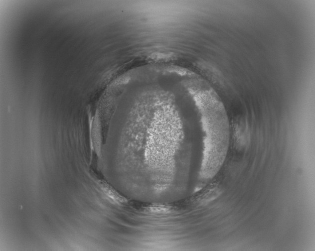 X0000075820668200609291412