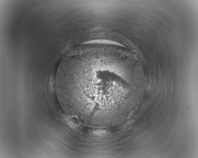 X0000075820669200609291412