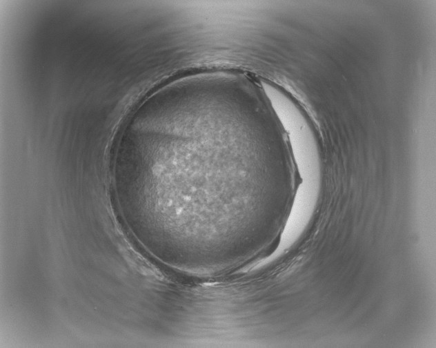 X0000075820673200609291412