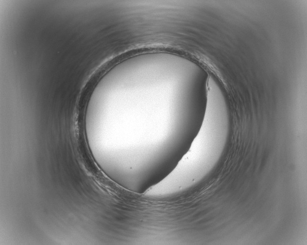 X0000075820676200609291411