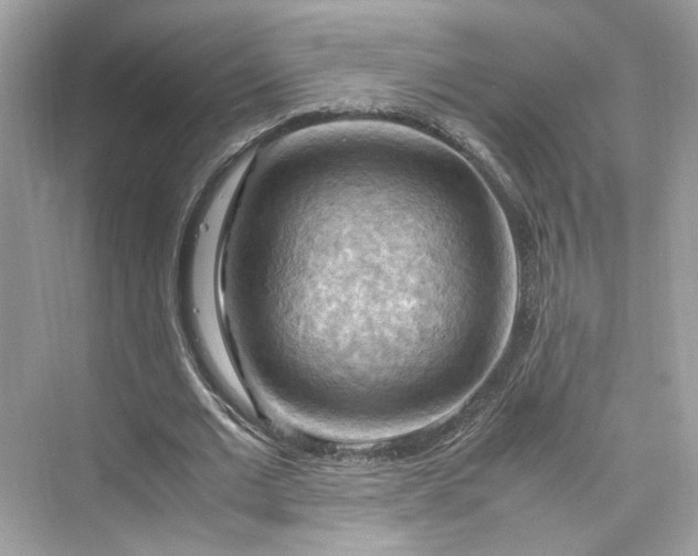 X0000075820677200609291411