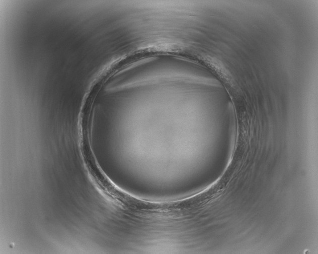 X0000075820678200609291411