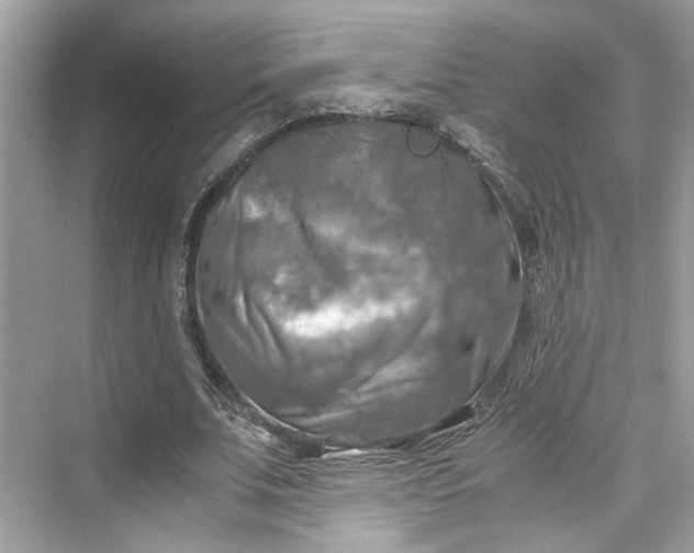 X0000075820679200609291411