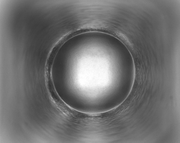 X0000075820680200609291411