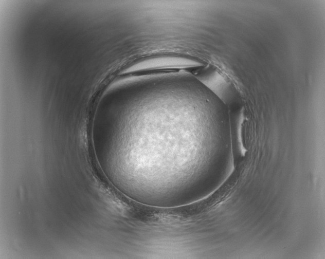 X0000075820681200609291411