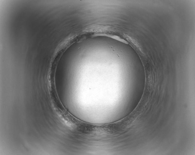 X0000075820682200609291411