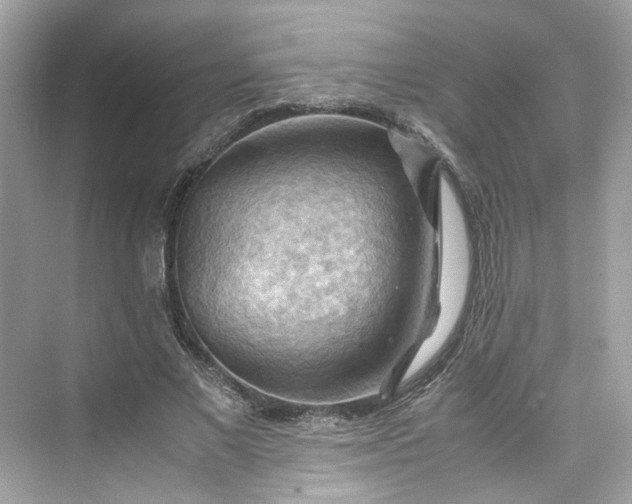 X0000075820685200609291411