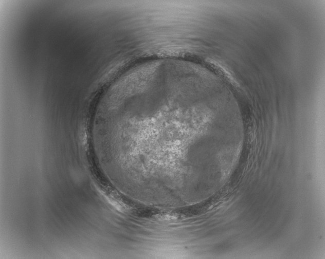 X0000075820687200609291411