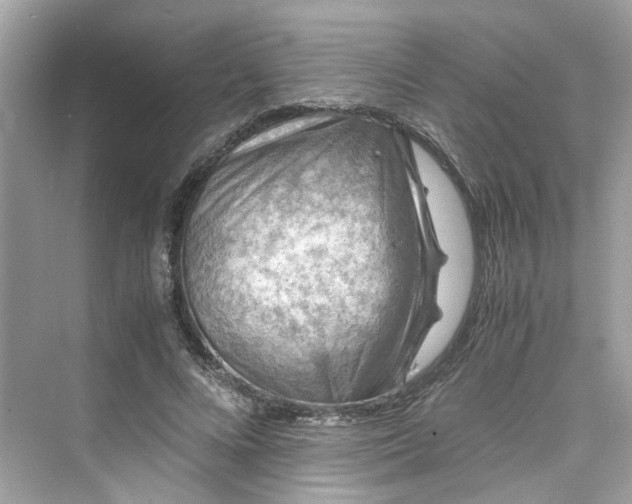 X0000075820688200609291411