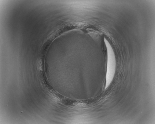 X0000075820689200609291411