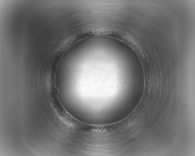 X0000075820690200609291411