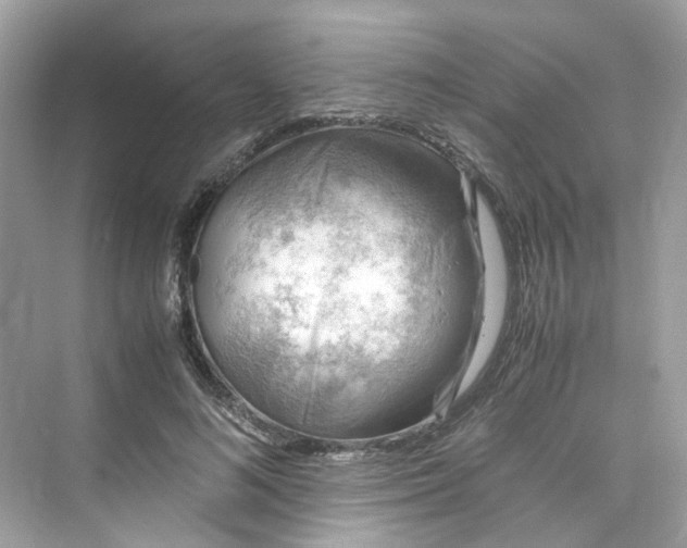 X0000075820692200609291411