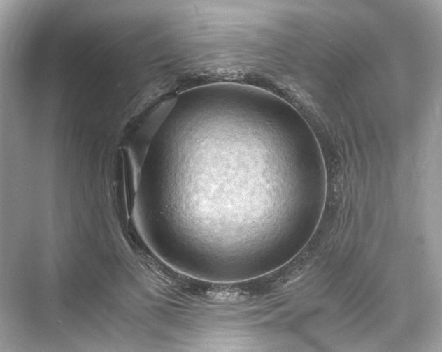 X0000075820693200609291411