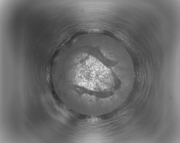 X0000075820695200609291411