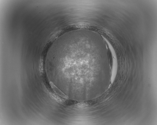 X0000075820696200609291411