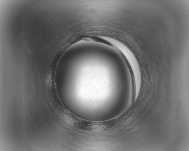 X0000075820697200609291411