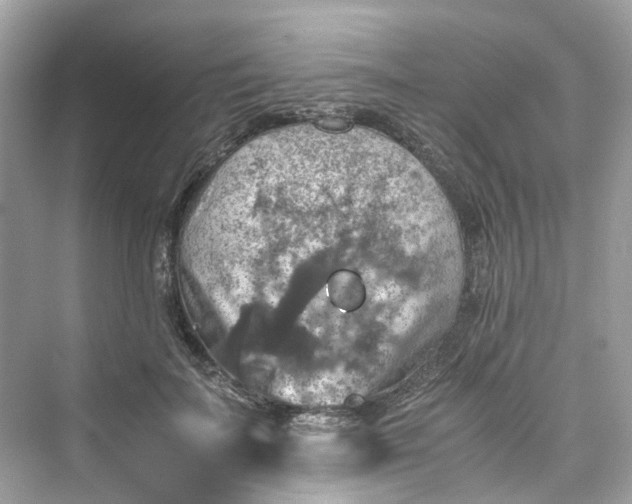 X0000075820699200609291411