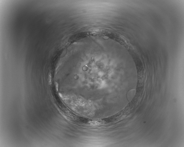 X0000075820703200609291411