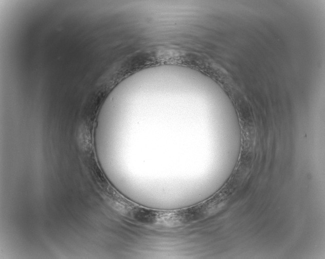 X0000075820705200609291411