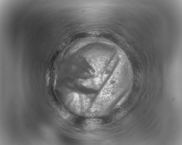 X0000075820707200609291411