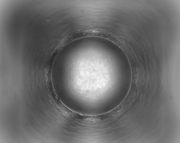 X0000075820708200609291411