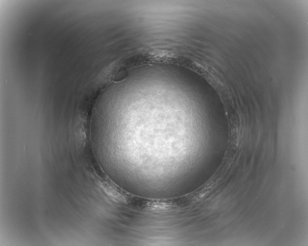 X0000075820710200609291411