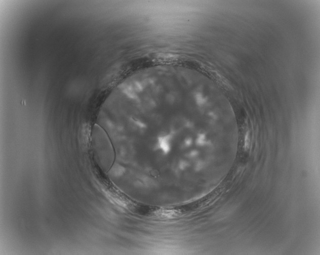 X0000075820711200609291411