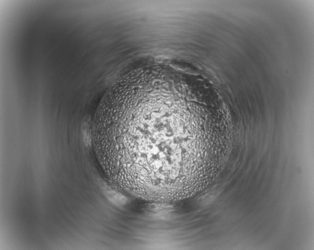 X0000075820719200609291411