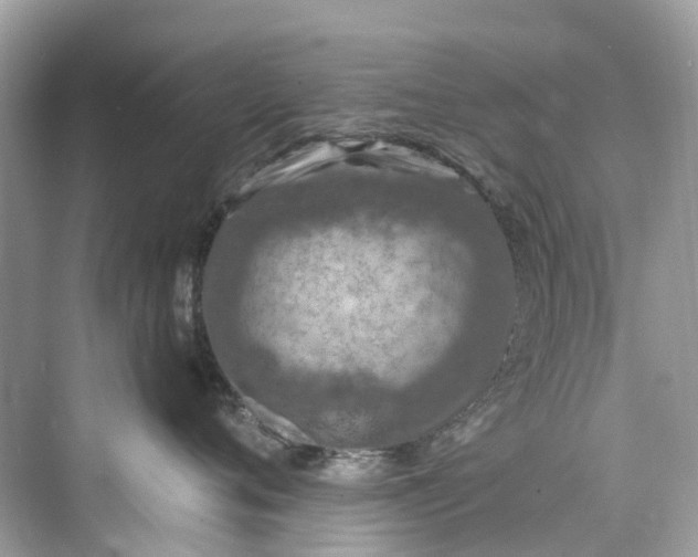 X0000075820720200609291411