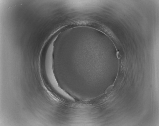 X0000075820722200609291410