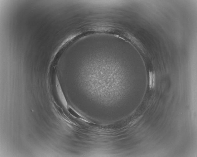 X0000075820723200609291410