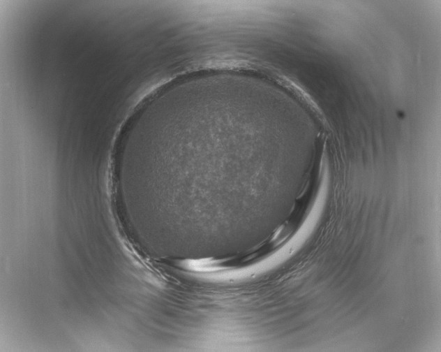 X0000075820724200609291410