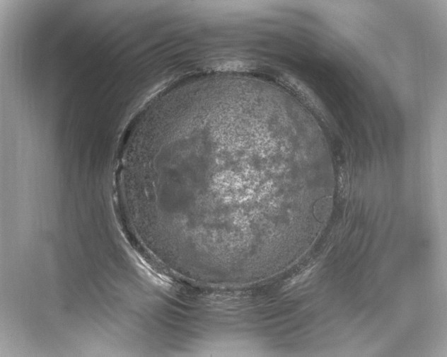 X0000075820725200609291410