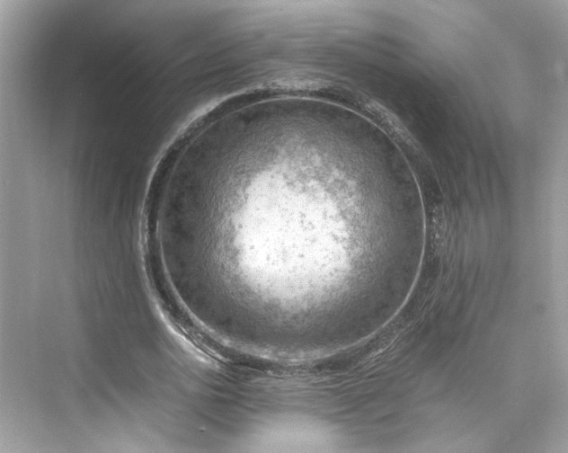 X0000075820726200609291410