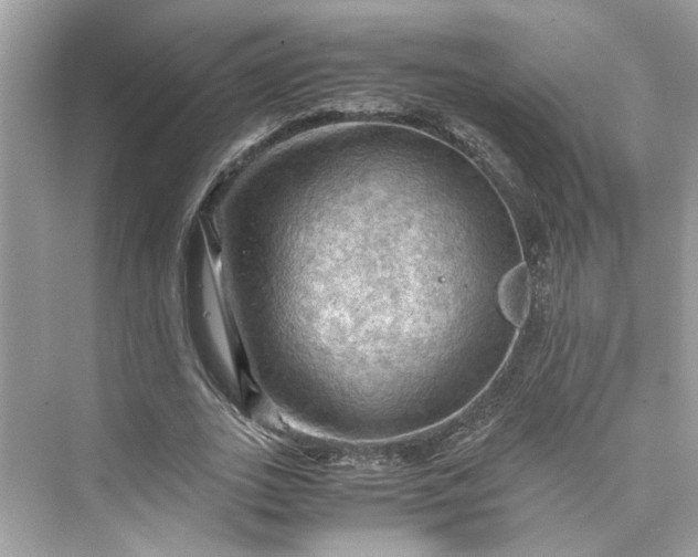 X0000075820727200609291410