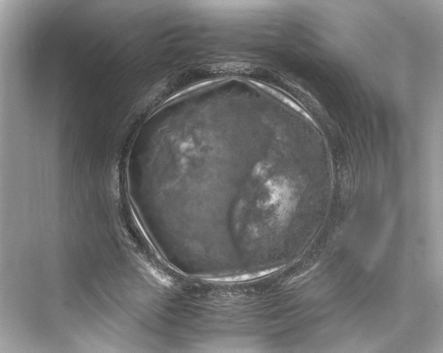 X0000075820729200609291410