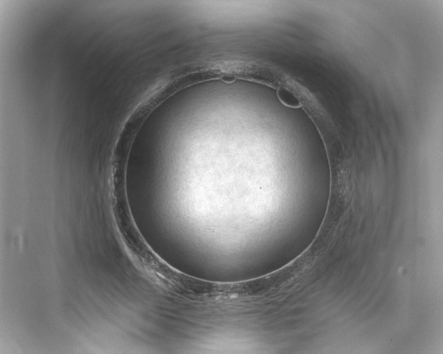 X0000075820730200609291410