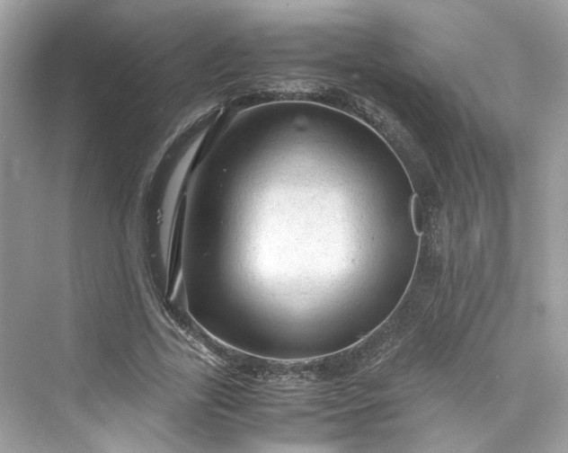 X0000075820731200609291410