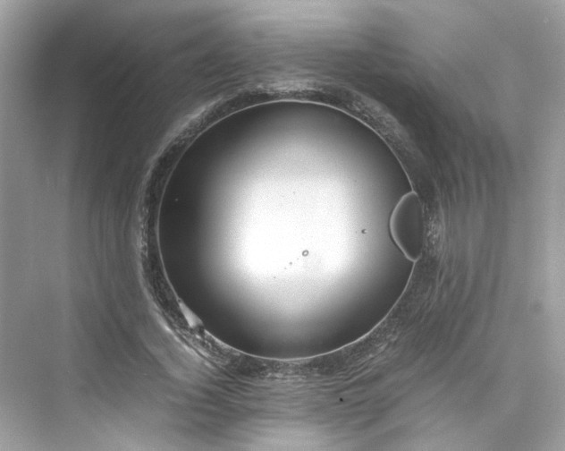 X0000075820732200609291410