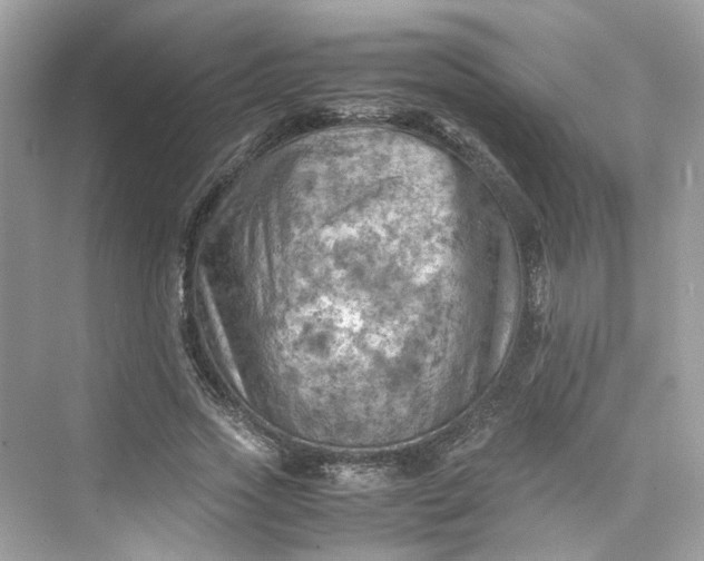 X0000075820733200609291410