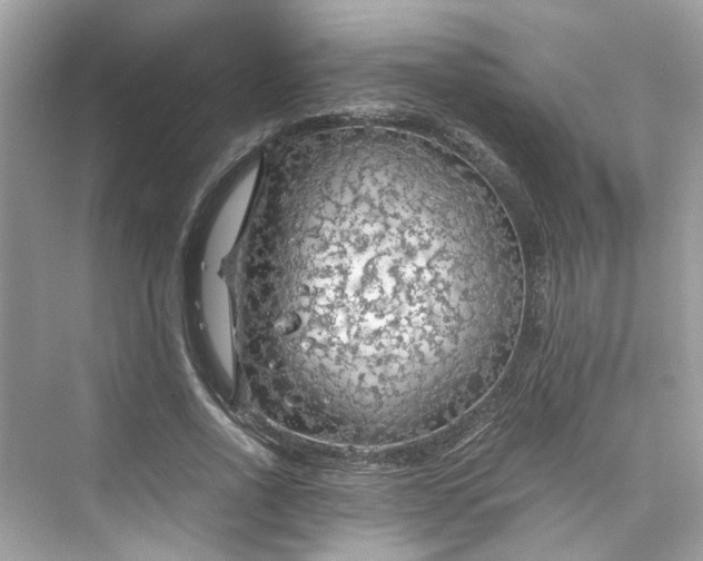 X0000075820734200609291410