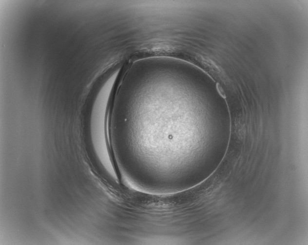 X0000075820735200609291410