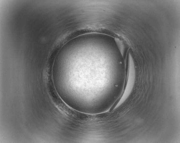 X0000075820736200609291410