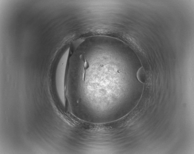 X0000075820738200609291410