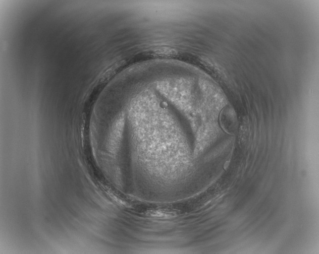 X0000075820739200609291410